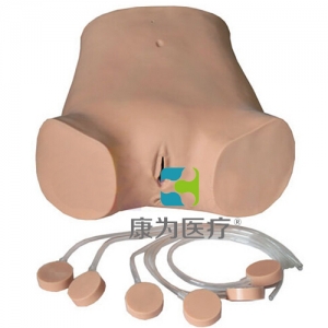 “康為醫療”高級電子腹腔穿刺訓練標準化模擬病人,腹腔穿刺訓練模型