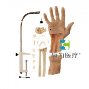 “康為醫療”腕關節鏡檢查模型,腕關節鏡檢查操作模型