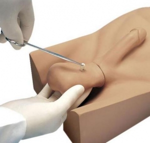 “康為醫療”新型輸精管切除術（NSV）訓練操作模型