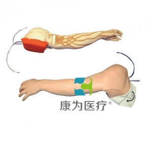 “康為醫療”完整靜脈穿刺手臂模型