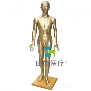 “康為醫療”人體針灸模型178CM(青銅色）