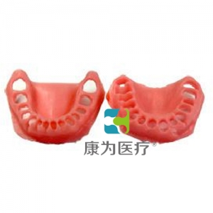 “康為醫療”軟牙齦模型