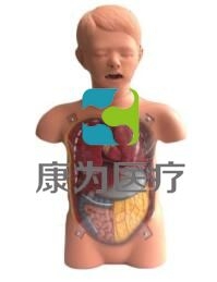 “康為醫療”兒童透明洗胃訓練模型,兒童洗胃操作模型,小兒透明洗胃模型
